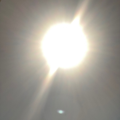 episode Episode 296 artwork