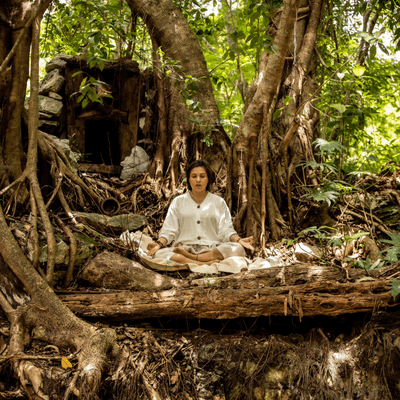 episode Meditación para crear raíces poderosas. artwork