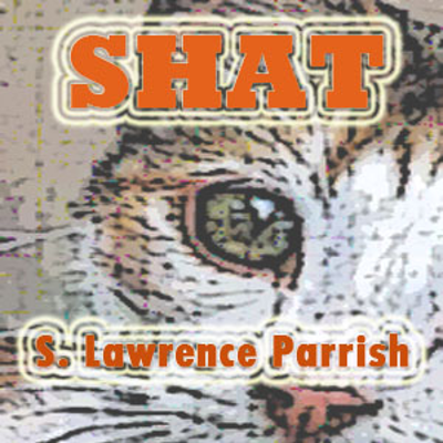 episode SHAT19 artwork