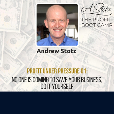 episode No One Is Coming to Save Your Business, Do It Yourself artwork