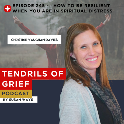 episode How To Be Resilient When You Are In Spiritual Distress artwork