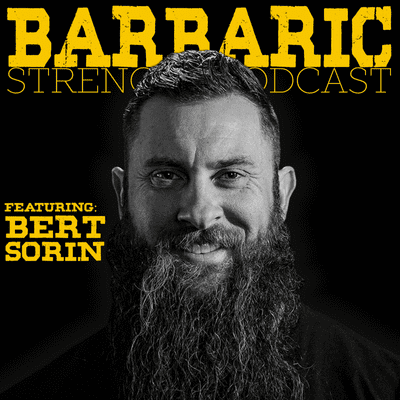 episode 29: Bert Sorin artwork
