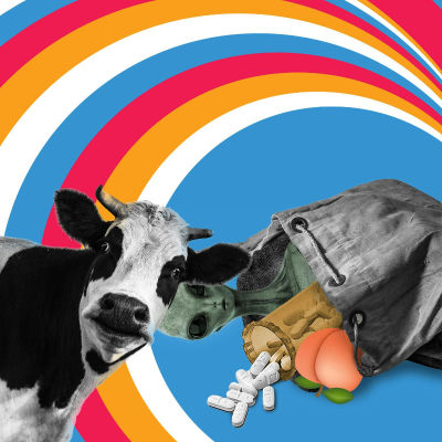 episode Decoder Ring | Mailbag: Drug Names, Cow Abductions, and the “Ass-Intensifier” artwork