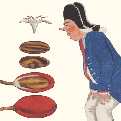 episode #17: Berufe aus vergangenen Zeiten (Buch) artwork