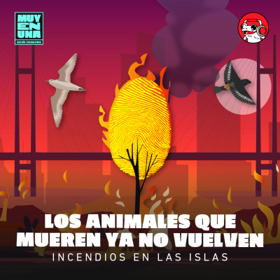 episode Incendios en las islas 2: los animales que mueren ya no vuelven artwork