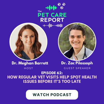 episode How Regular Vet Visits Help Spot Health Issues Before It’s Too Late | E62 artwork