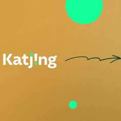 episode Katjing webinar - et blik på halvårsregnskabet artwork