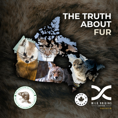 episode Nora Lacasse: Sustainable Fur Advocate || Ep 12 artwork