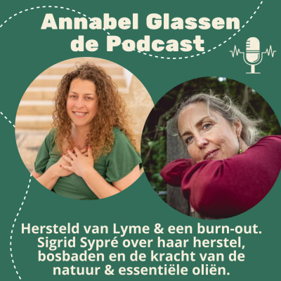 episode Hersteld van Lyme en een burn-out: het verhaal van Sigrid #28 artwork