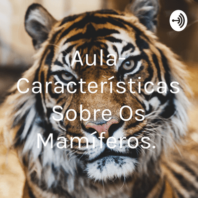 Aula- Características Sobre Os Mamíferos.