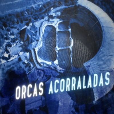 episode Cuarto Milenio: Orcas acorraladas artwork