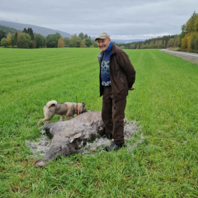 episode 65 år erfaring med harehunder og elghunder med Ola Holsing artwork