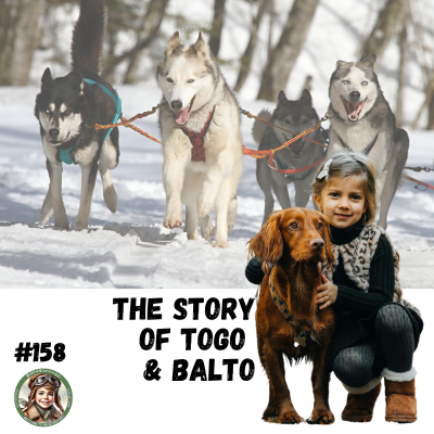 episode The Story of Togo & Balto (a special episode for Zack, Owen, and Gabriel) artwork