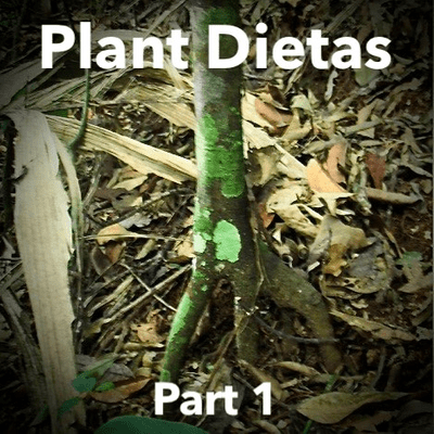episode Plant Dietas Part 1 artwork