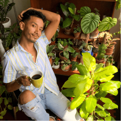PlantChevere