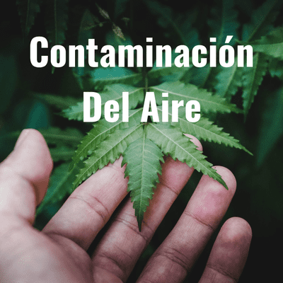 Contaminación Del Aire