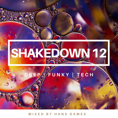 episode SHAKEDOWN 2024 #12 mixed by Hans Dames artwork