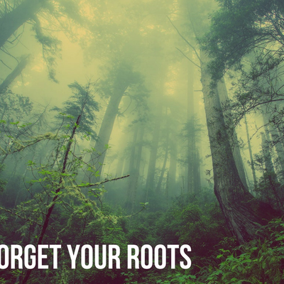 episode Don't Forget Your Roots | #125 - Dion Sekone-Fraser | Storyteller Sessions Podcast artwork
