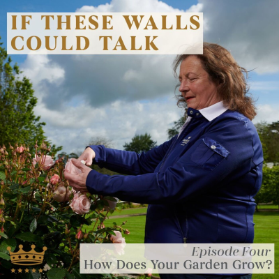 episode Episode Four - How Does Your Garden Grow? artwork