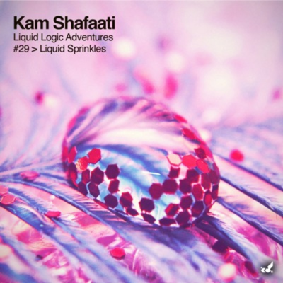 episode Episode 29 - Liquid Sprinkles (Dreamy House) artwork