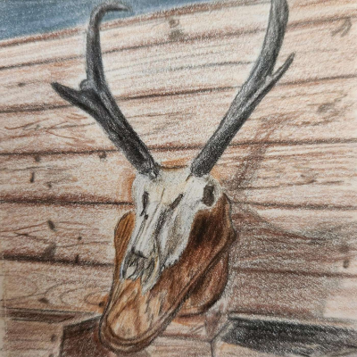 episode Pronghorn Hunting in North Dakota artwork