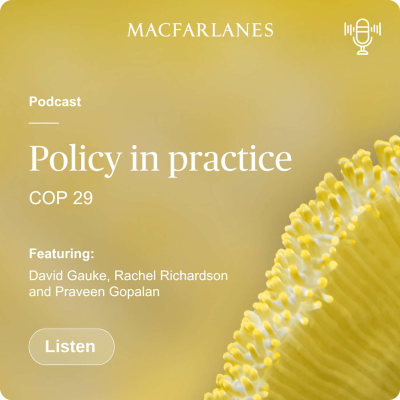 episode Policy in practice: COP 29 artwork