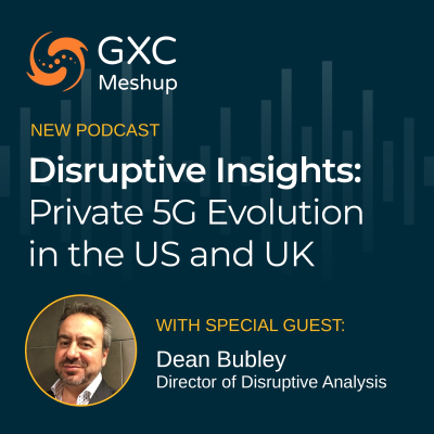 episode Episode 017 | Disruptive Insights: Private 5G Evolution in the US and UK artwork