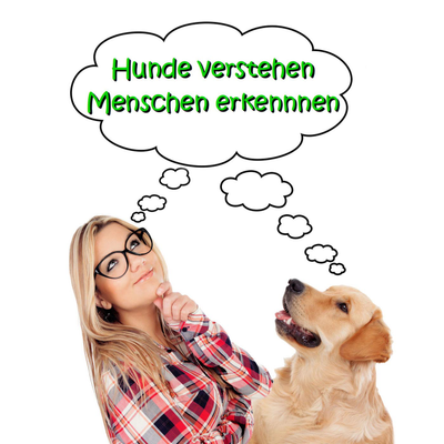 episode 006 Wenn Andere es besser wissen! artwork