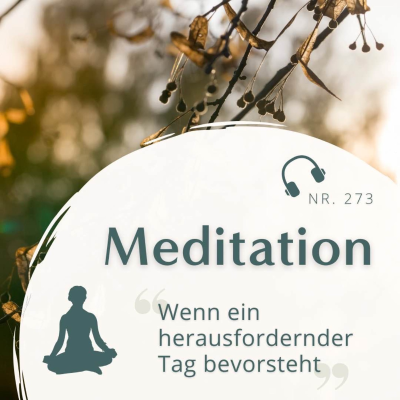 episode Meditation Nr. 273 // Wenn ein herausfordernder Tag bevorsteht artwork