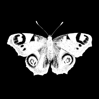 CaligoCast