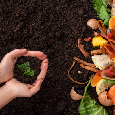 episode The great food rescue artwork