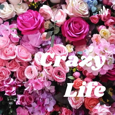 Crazy Life