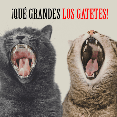 Qué Grandes
