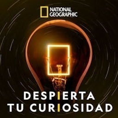 Cover image DESPIERTA TU CURIOSIDAD