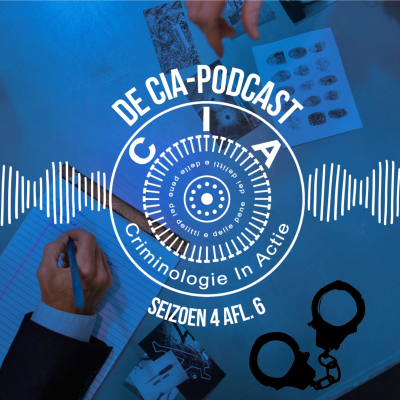 episode Veiligheid en de Rechtbank - In gesprek met Julia Mendlik artwork