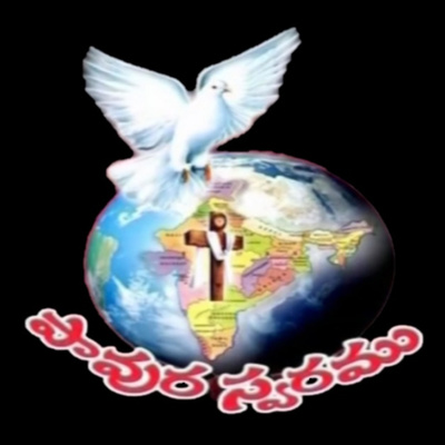 episode Topic - Mind - బుద్ధి - God's Plan on you - Bro.Viswam Garu #Pavuraswaram #TeluguChristianMessage artwork
