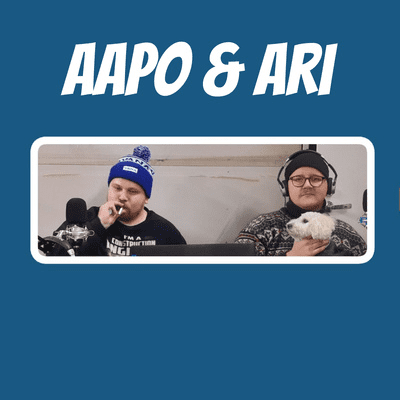 episode Aapo & Ari #17 - Maijan ratista markkinatalouden palvelukseen artwork