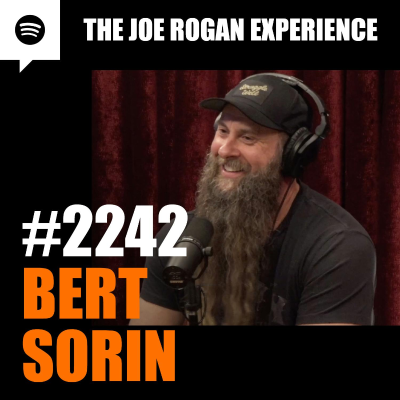 episode #2242 - Bert Sorin artwork