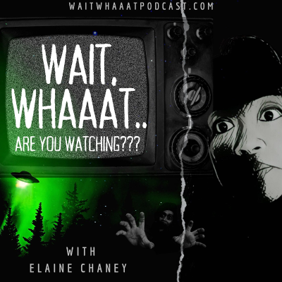 episode Wait, Whaaat? A Very Special New Years Message! artwork