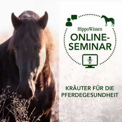 episode HippoPod: Kräuter für die Pferdegesundheit artwork