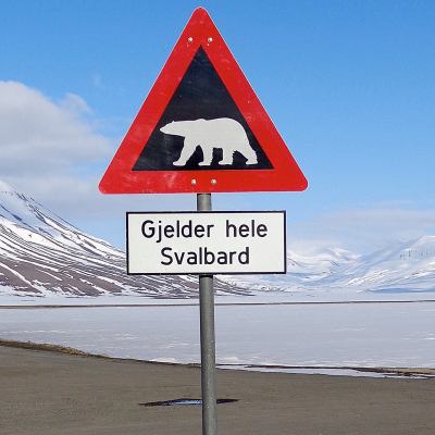 episode Svalbardsäsongaren Alexander artwork