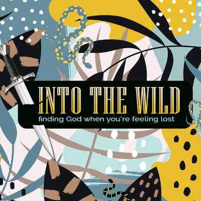 episode Into the Wild artwork