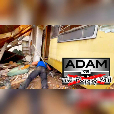 episode Adam Vs The Puppy Mill artwork
