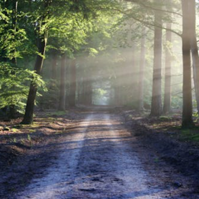 episode How Do I Connect With Jesus? (Sacred Pathways) artwork