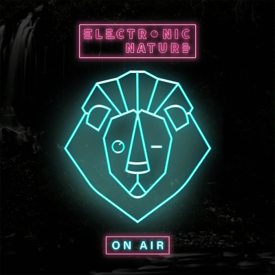 episode Jonas Blue - Electronic Nature Radio Show 013 artwork