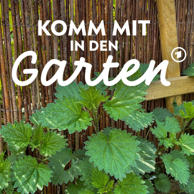 episode Brennnessel: Darum sollte sie in jedem Garten wachsen artwork