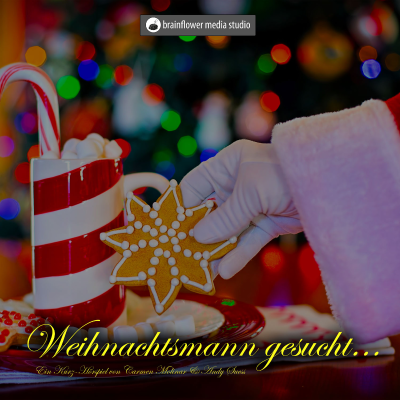 episode Weihnachtsmann gesucht artwork