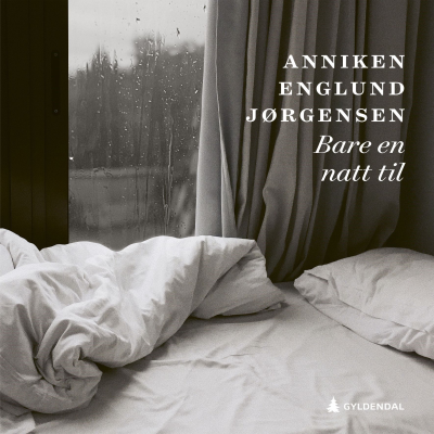 Cover image of show Bare en natt til