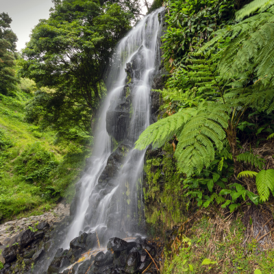 episode Sonido de Cascada y Naturaleza para Meditar artwork