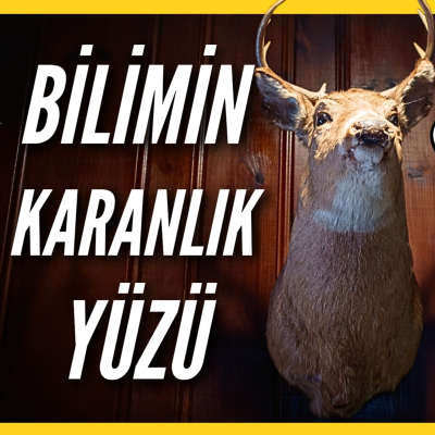 episode Taksidermi: Bilim mi, Vahşet mi? | Yoksa Sadece bir Koleksiyon Eşyası mı? artwork